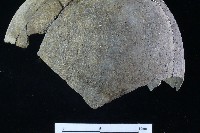 陶罐藏品圖，第9張