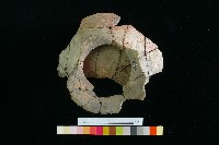 豆形器藏品圖，第2張