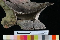 豆形器藏品圖，第8張