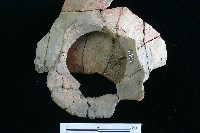 豆形器藏品圖，第9張