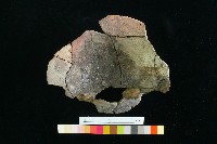 豆形器藏品圖，第13張