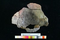 豆形器藏品圖，第14張