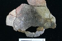 豆形器藏品圖，第15張