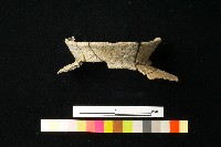 陶罐藏品圖，第2張