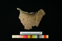 陶罐藏品圖，第2張