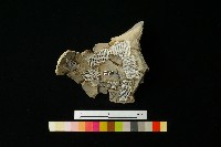 陶罐藏品圖，第3張