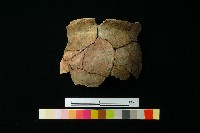 陶罐藏品圖，第3張