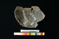 陶罐藏品圖，第3張