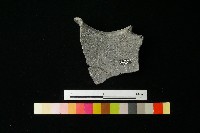 陶罐藏品圖，第2張