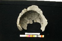 陶罐藏品圖，第3張