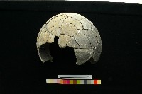 陶罐藏品圖，第5張