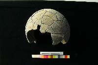 陶罐藏品圖，第6張