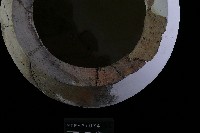 陶罐藏品圖，第3張