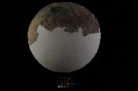 陶罐藏品圖，第10張