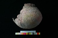 陶罐藏品圖，第2張