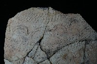 陶罐藏品圖，第4張