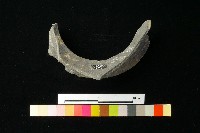 陶罐藏品圖，第4張