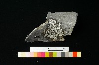 陶罐藏品圖，第1張