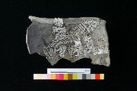 陶罐藏品圖，第2張