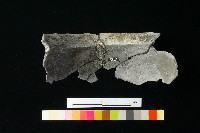 陶罐藏品圖，第1張