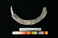 陶罐藏品圖，第3張