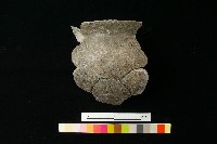 陶罐藏品圖，第2張