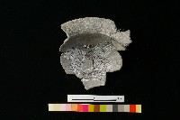 陶罐藏品圖，第1張