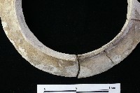 陶罐藏品圖，第4張