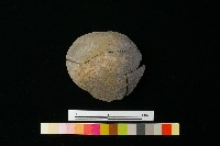 陶缽藏品圖，第3張