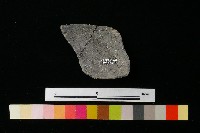 陶缽藏品圖，第2張