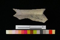 陶罐藏品圖，第1張