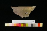 陶罐藏品圖，第1張