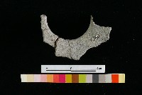 陶罐藏品圖，第3張