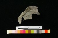 陶罐藏品圖，第1張