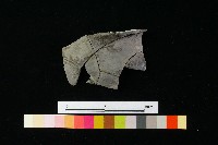 陶罐藏品圖，第3張