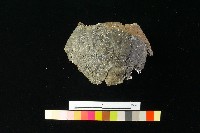 陶罐藏品圖，第1張