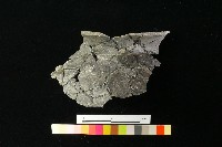 陶罐藏品圖，第1張