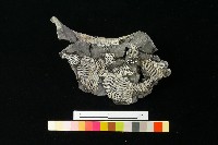 陶罐藏品圖，第2張