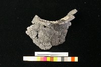 陶罐藏品圖，第3張