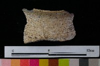 陶罐藏品圖，第4張
