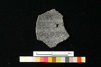 陶片藏品圖，第2張