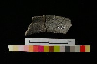 陶罐藏品圖，第2張