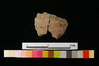 陶片藏品圖，第2張