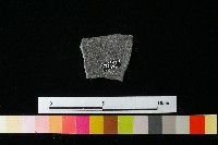 陶罐藏品圖，第1張