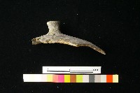 陶蓋藏品圖，第2張