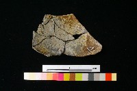 陶蓋藏品圖，第1張