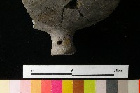 陶蓋藏品圖，第4張