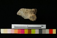 陶蓋藏品圖，第3張