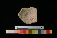 陶蓋藏品圖，第3張