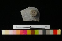 陶蓋藏品圖，第2張